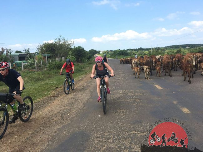 Myanmar Adventure Cycle Tours – 11 Days